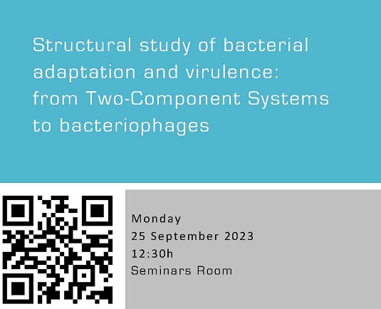 Structural study of bacterial adaptation and virulence: from Two-Component Systems to bacteriophages